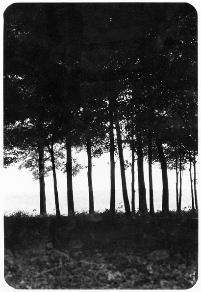 Kaplowitz-Hw-1975-Broad-east-Trees-Shadow-KDK_54.jpg